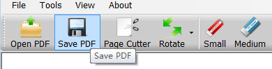 Save the PDF File